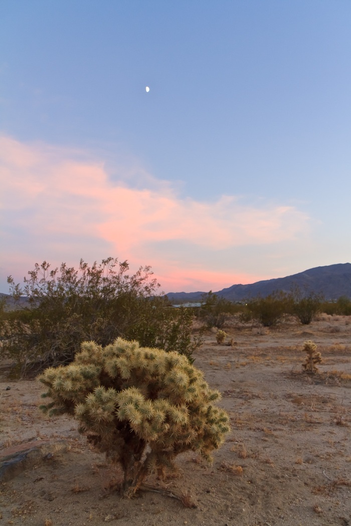 Sunset in the high desert